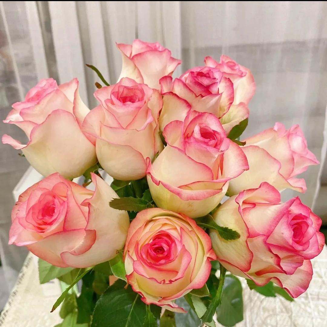 万盛花卉园艺