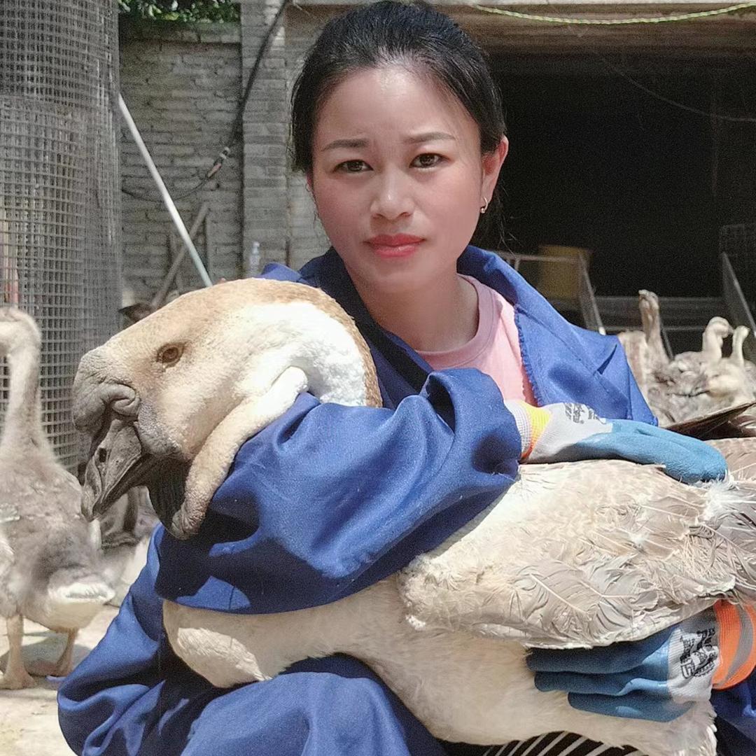 阿华养殖基地2店