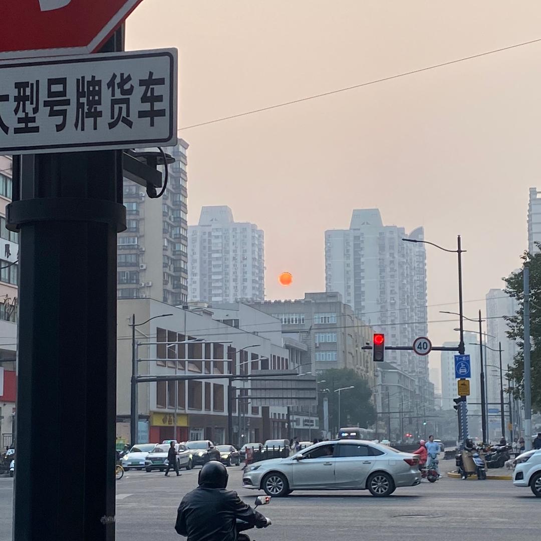哈利