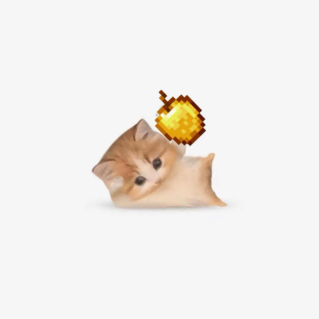 鱼头头