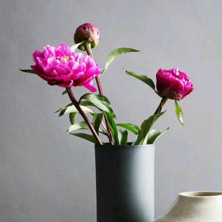 天ૢ涯ૢ浪ૢ子ૢ