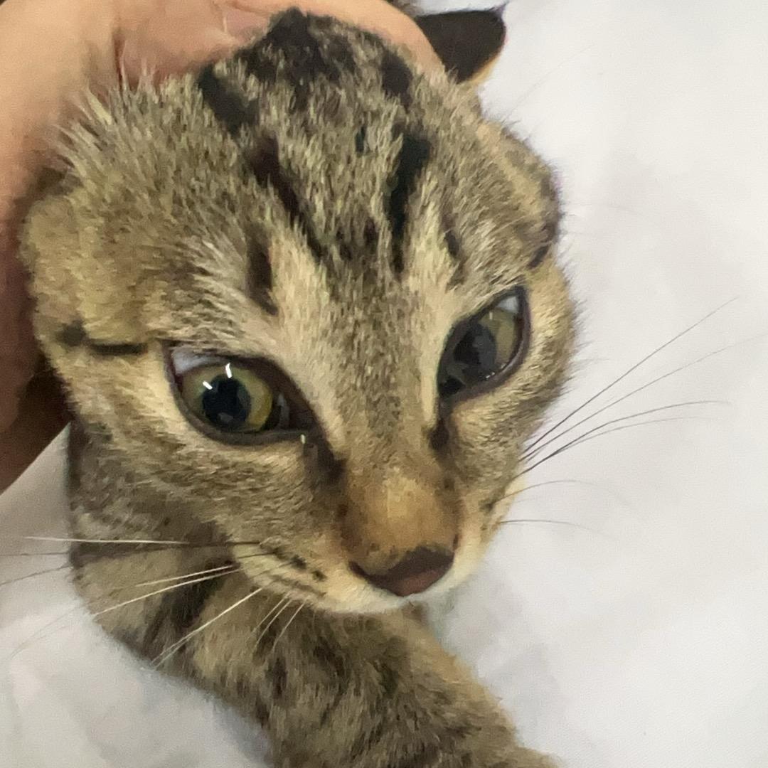 @没有蜡笔的小新