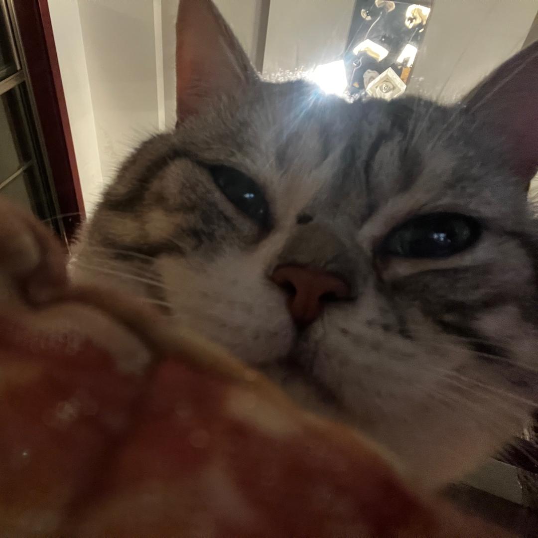 神不上岸我上（坚强努努力版）