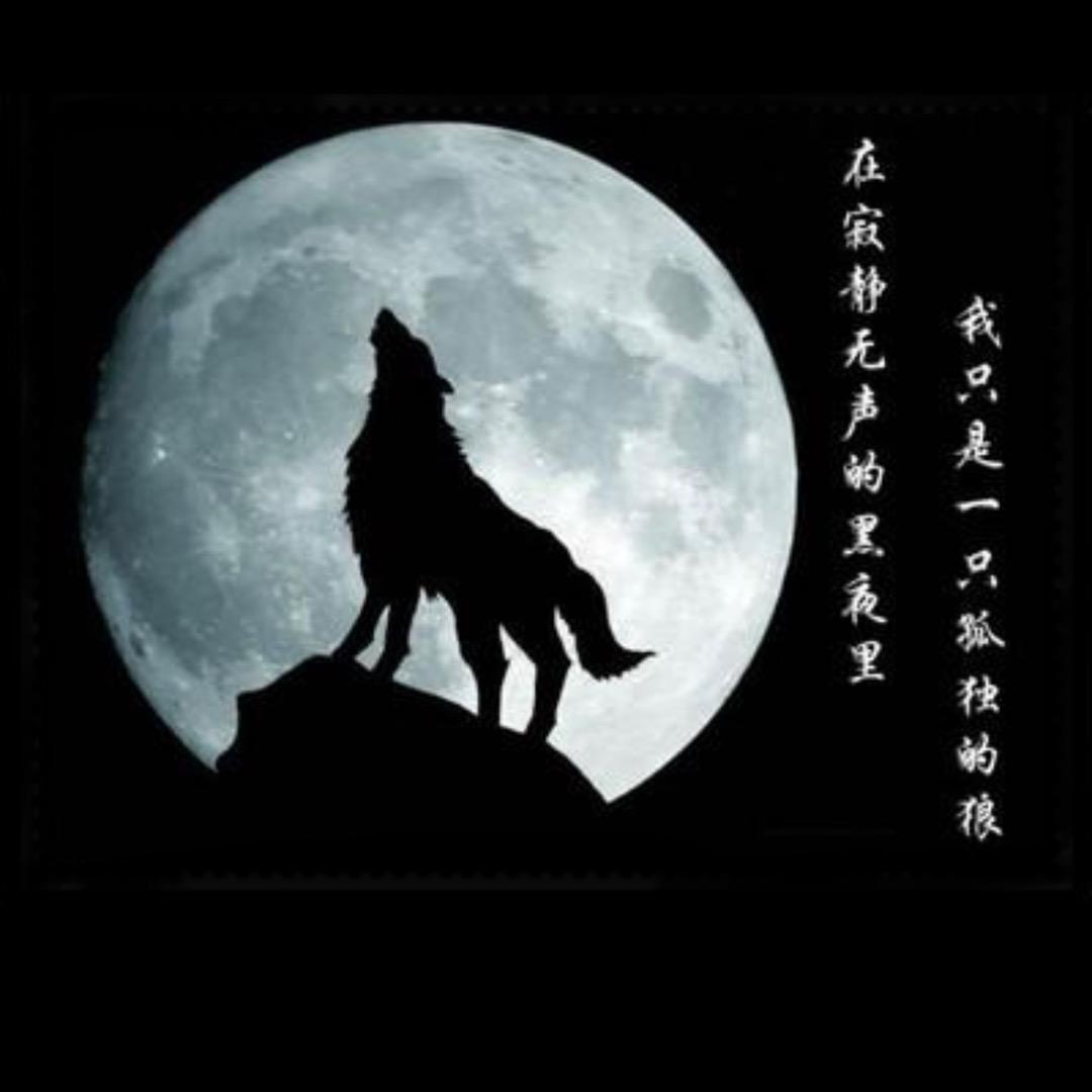 一人一车一世界