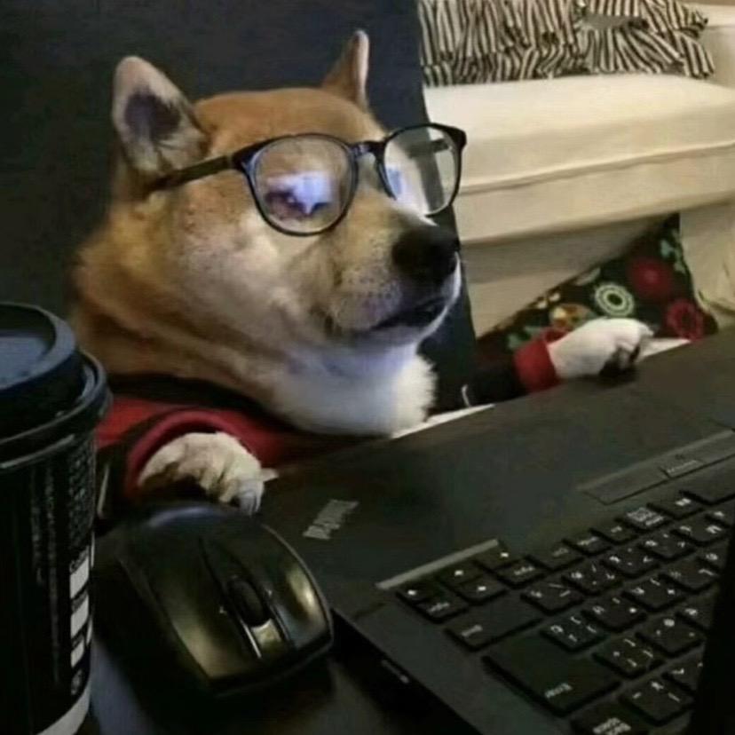 小熊星系ʚ🧸ྀིɞ