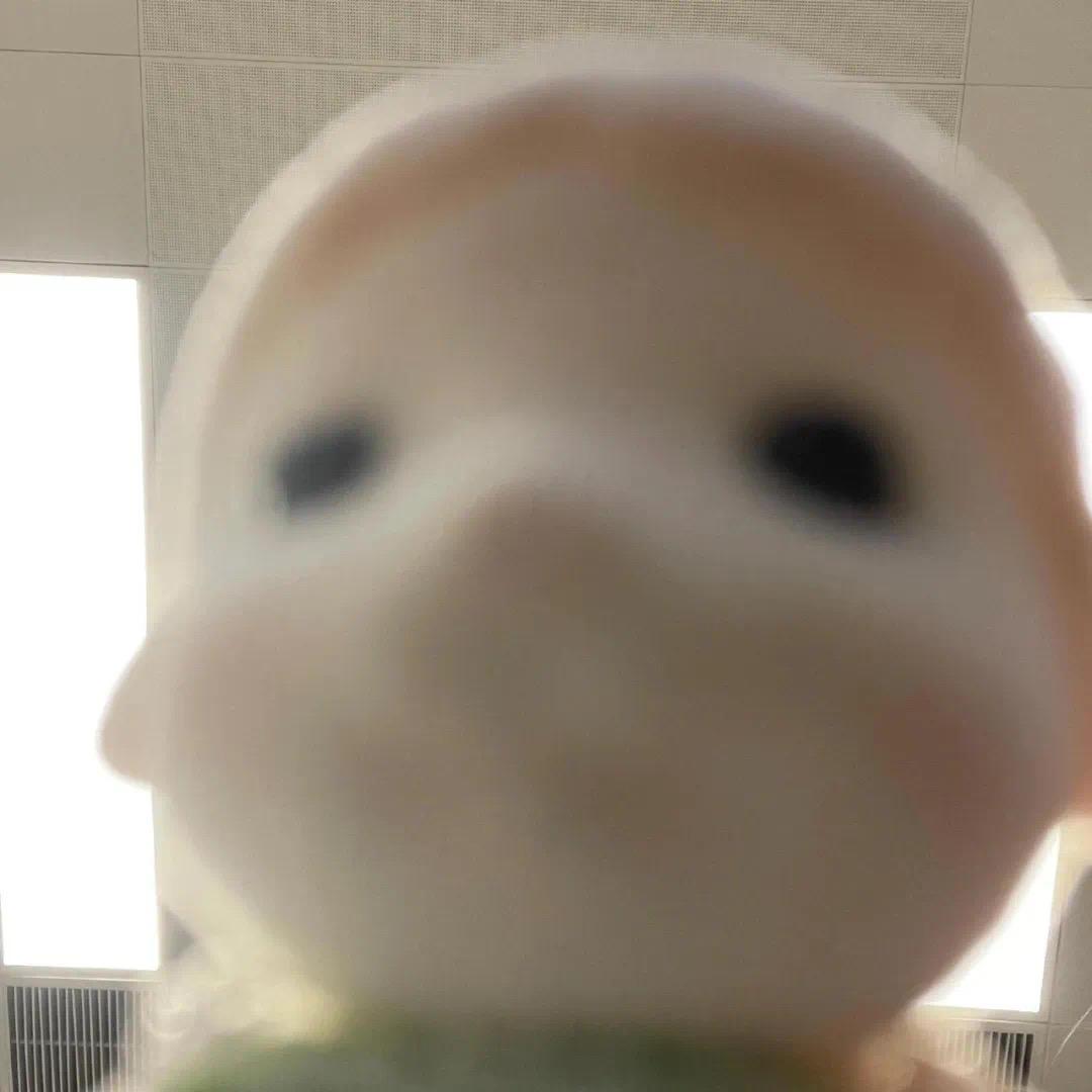 腻腻