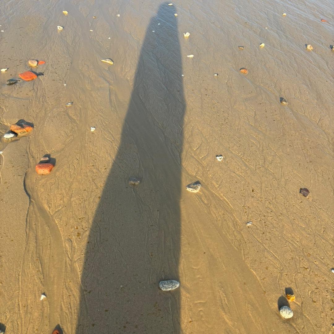 鑫球机电甄选-亿力