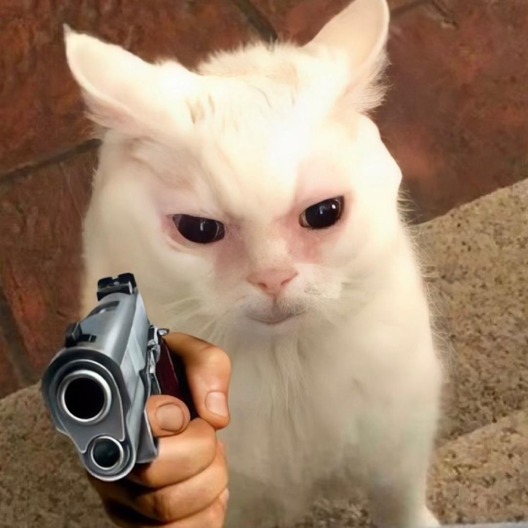 呆丶