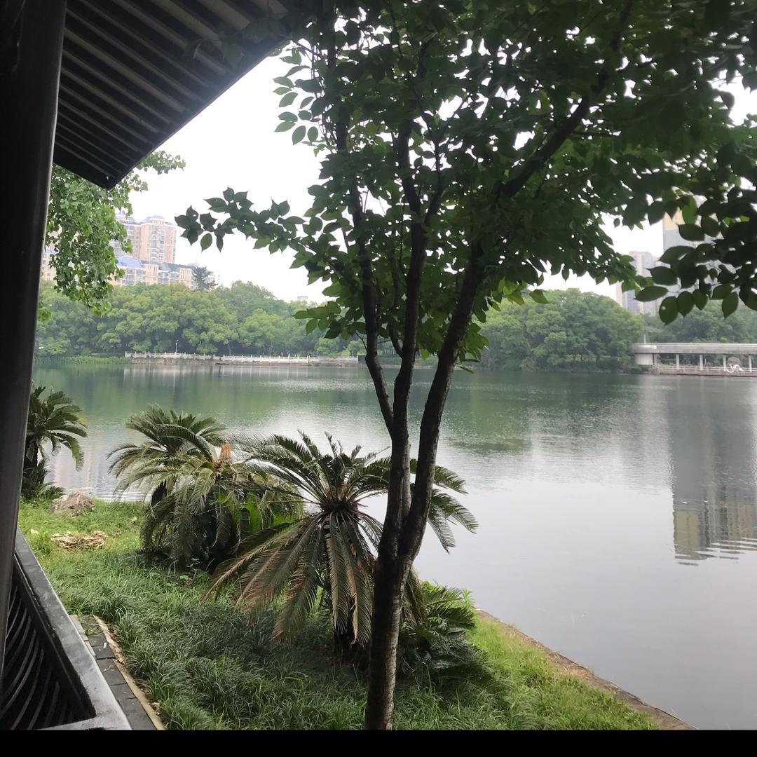 景星庆云