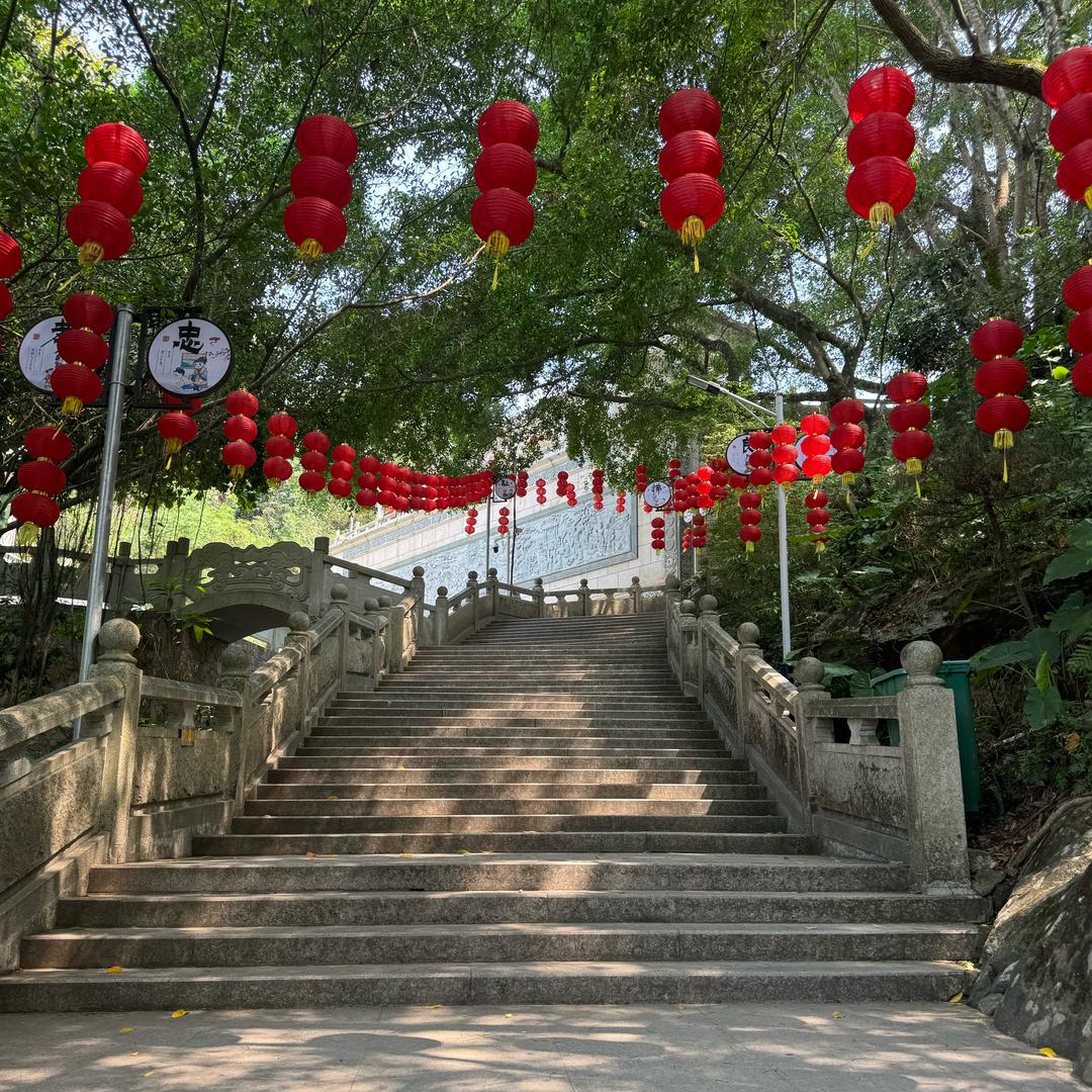 🌸自求多福🌸