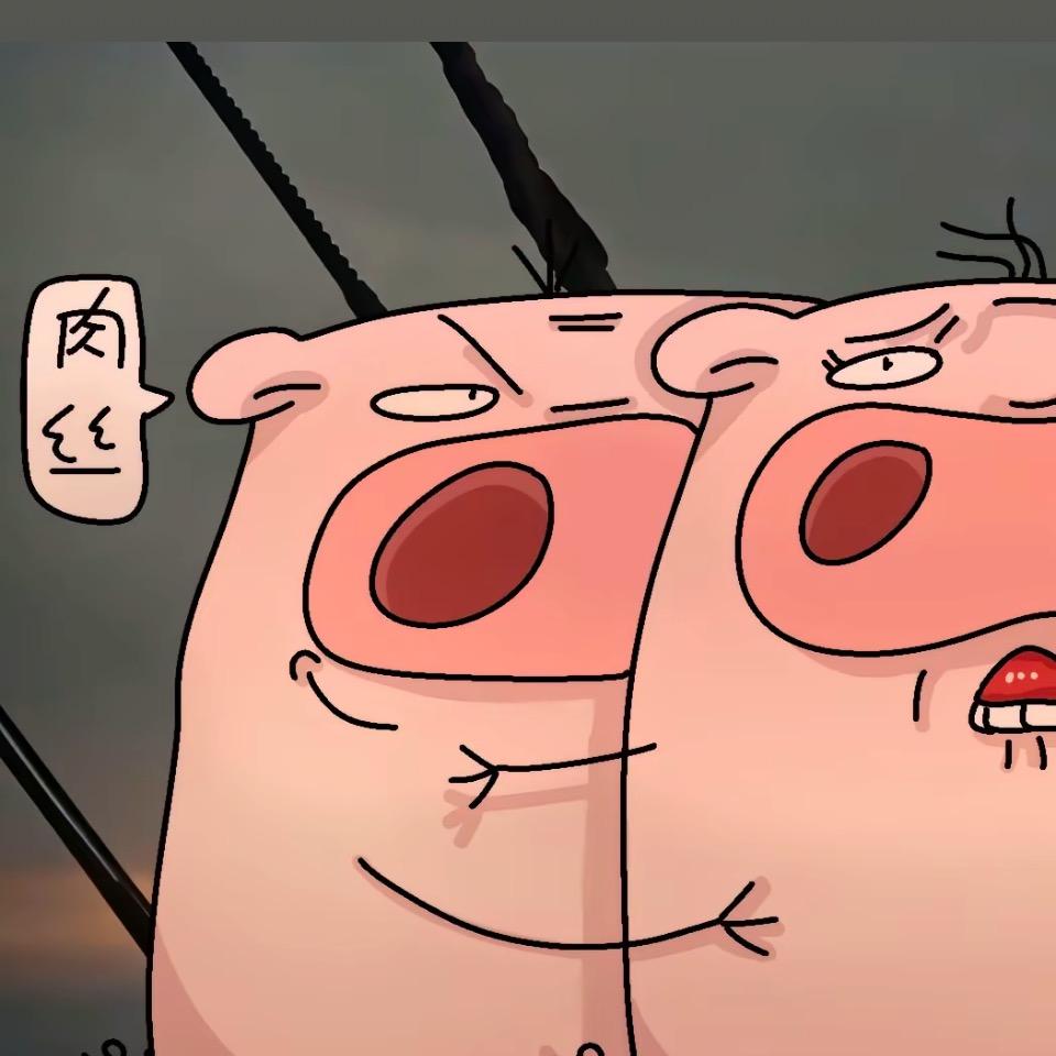 忧郁的🐷头像