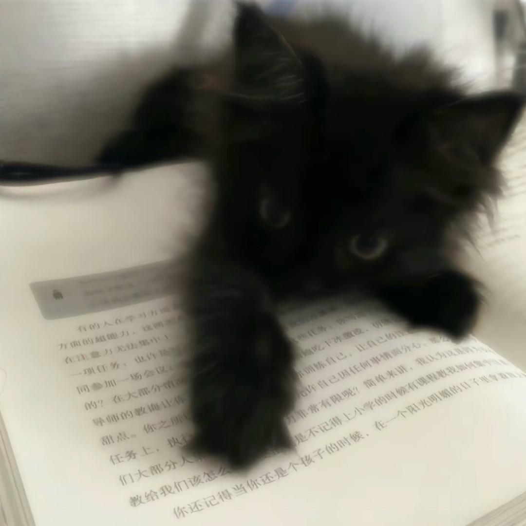 Maple_L