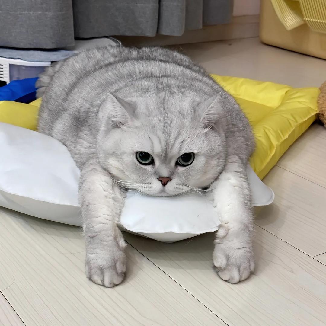 追求梦想