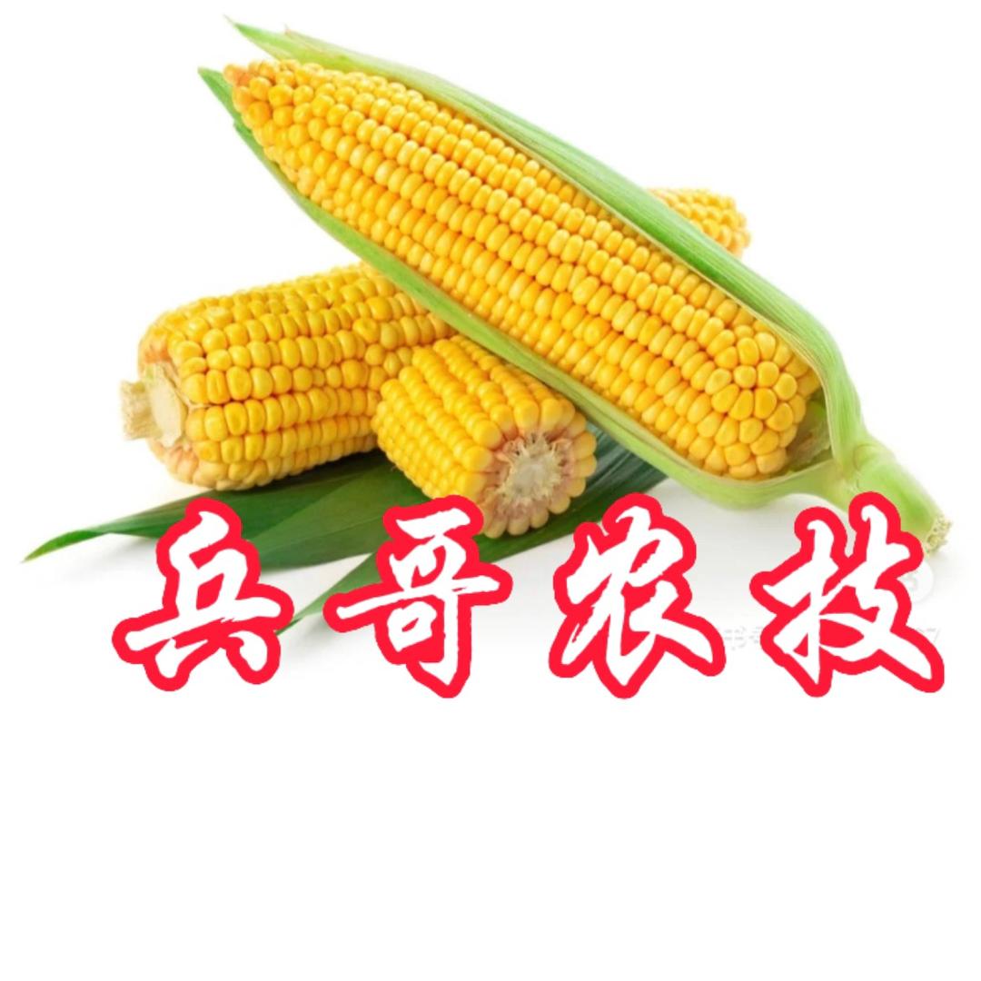 兵哥 农技