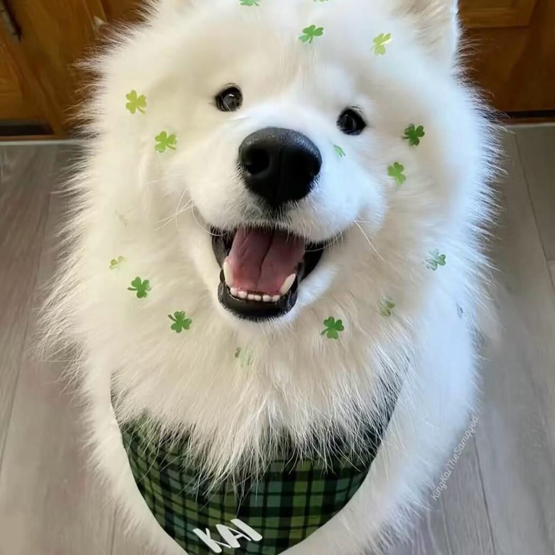 Vàlor（恩师纪政新）