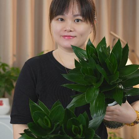 佳和绿植园