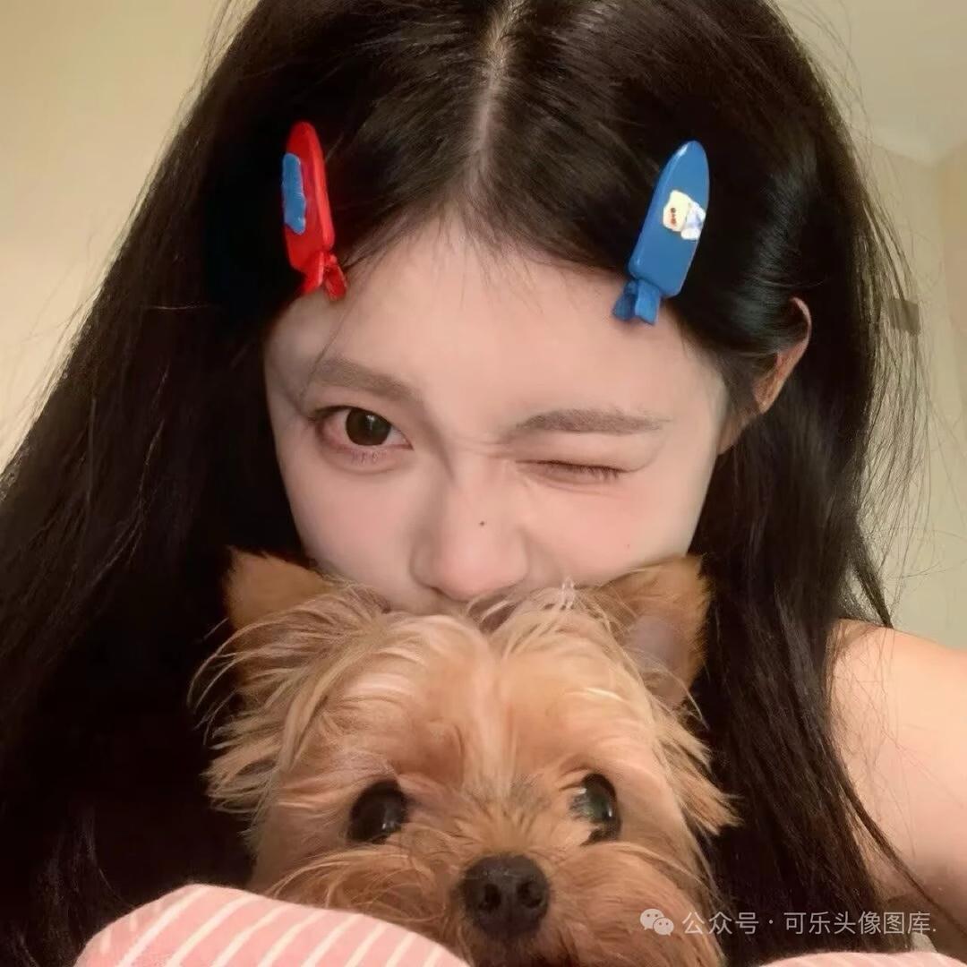 木讷的树