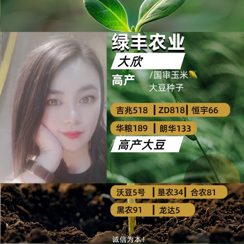 绿丰大欣高产玉米大豆种子