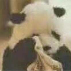 阿巴阿巴阿  ，