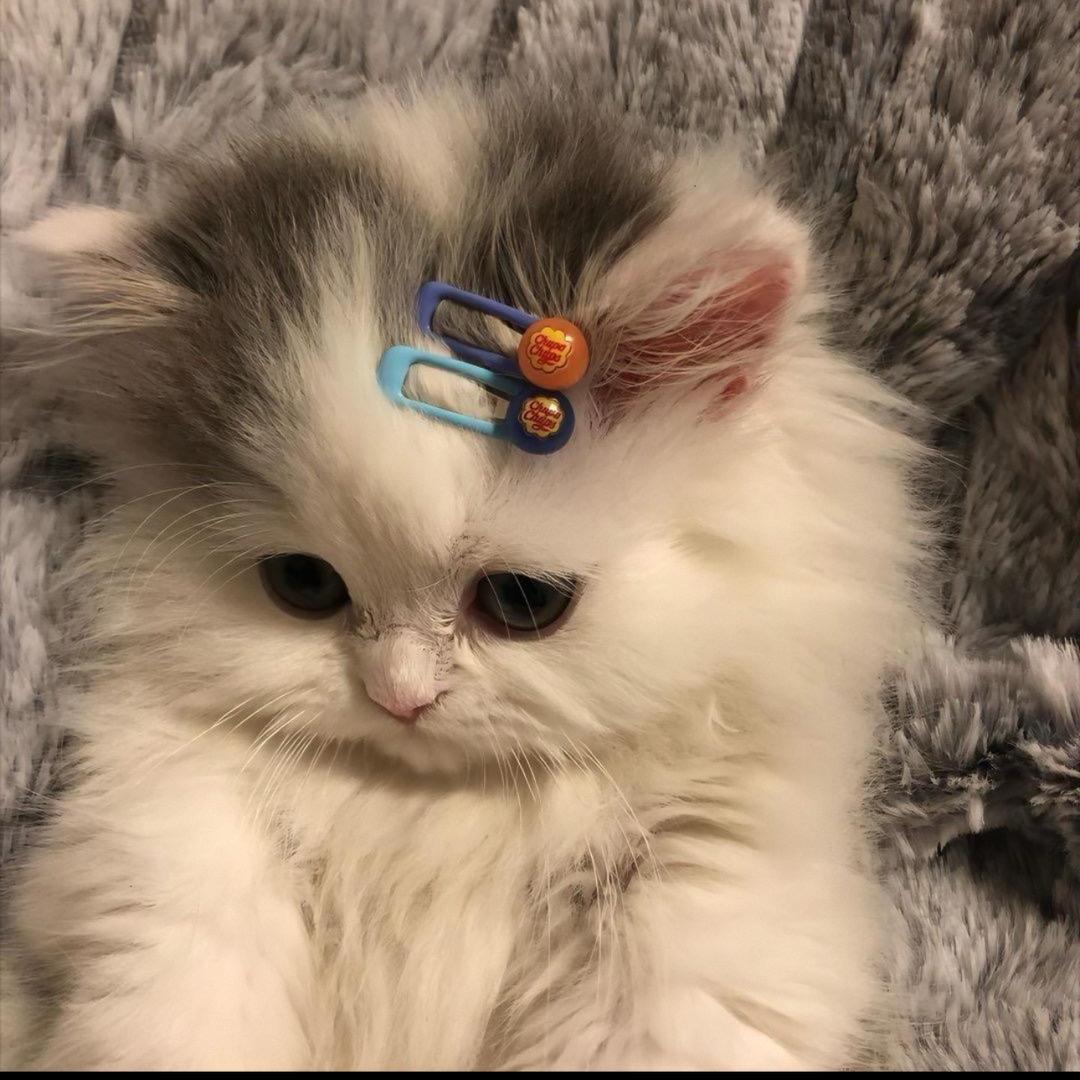 🧡