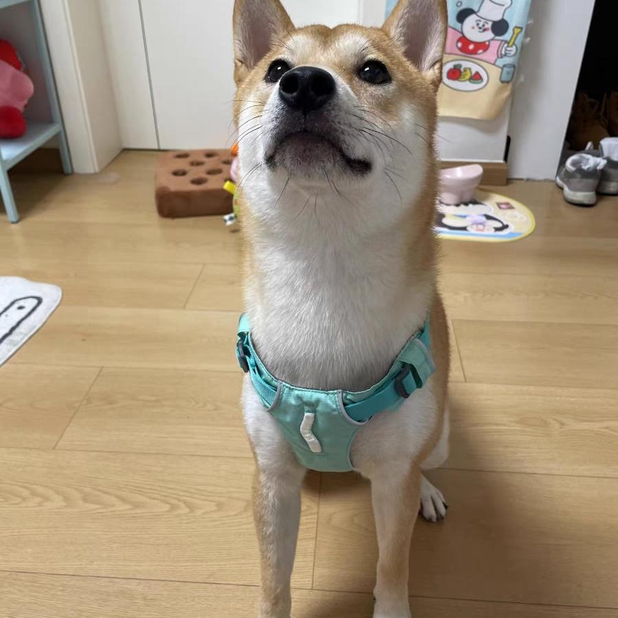 茉辰昕榆百货店