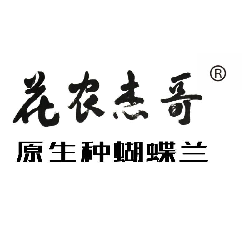 花农杰哥园艺旗舰店