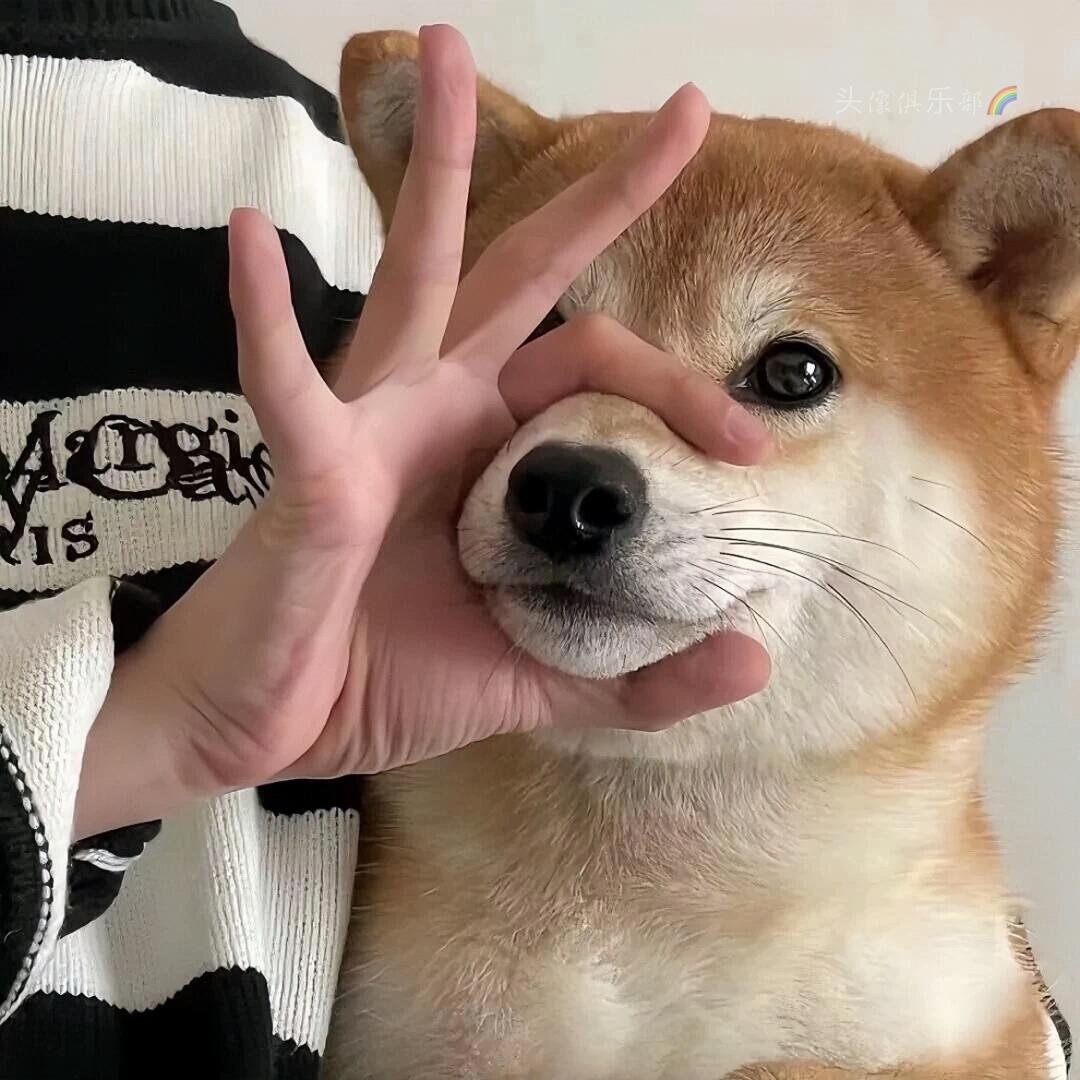 优咪