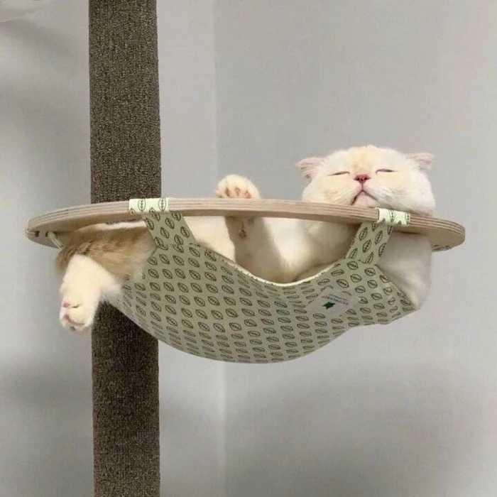 打屁屁