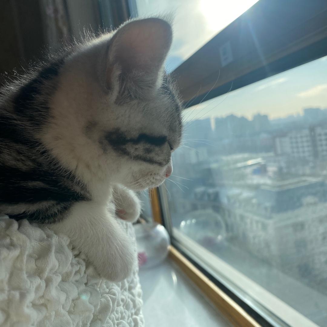 KTKT呀！