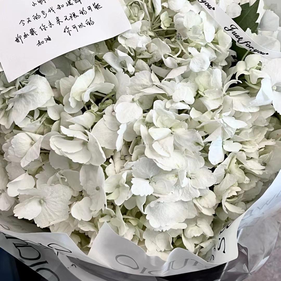 高乐高7