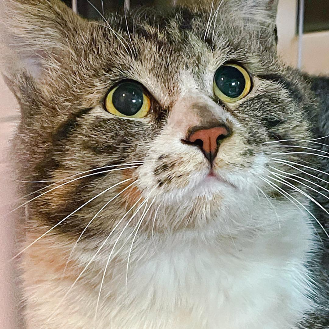 过来带走你的礼物🎁