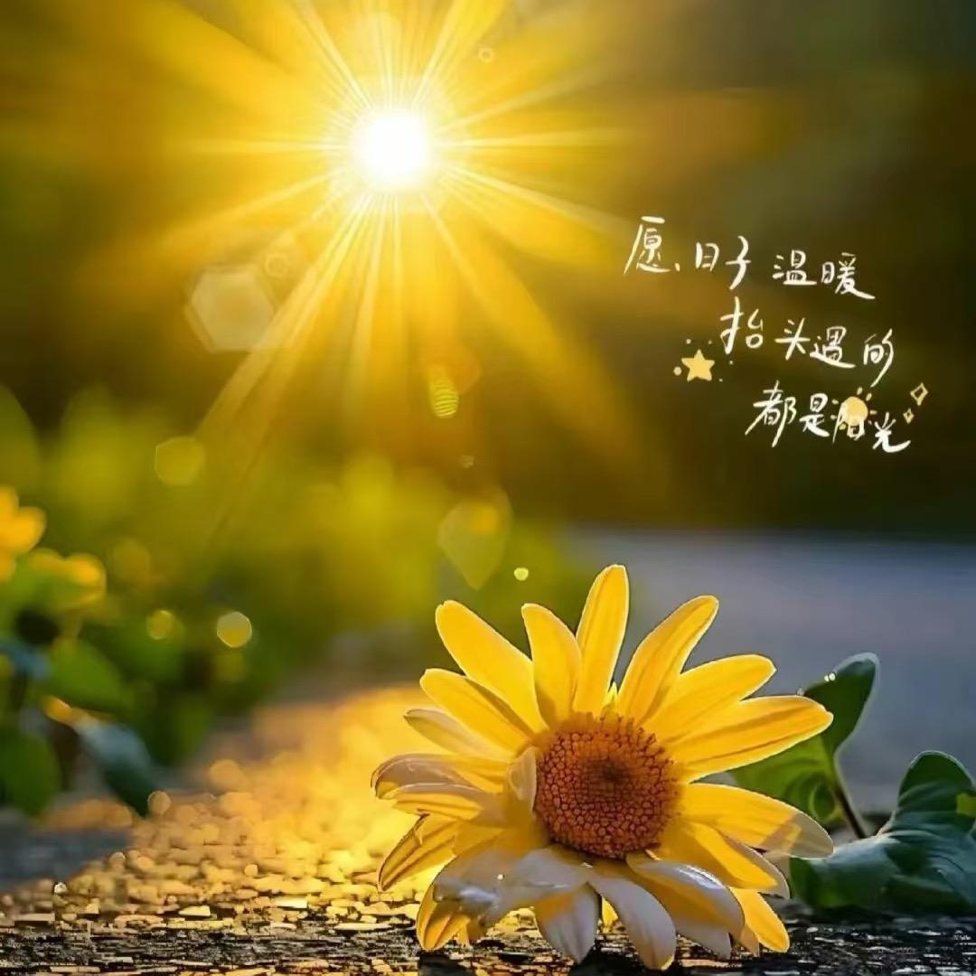 🌸^×^芳^-^🌸