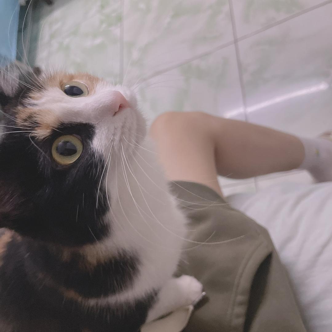 以后