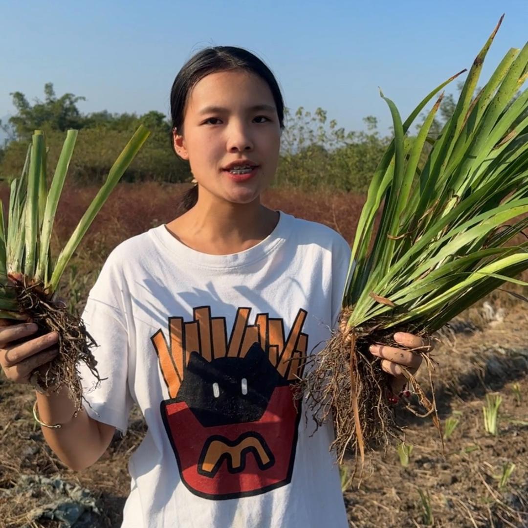 腾禾小陈