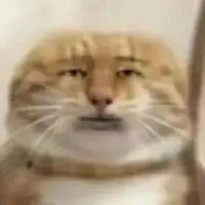 野生三角函数🐹
