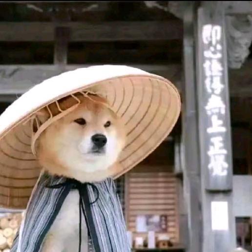 掌眼（收投稿）