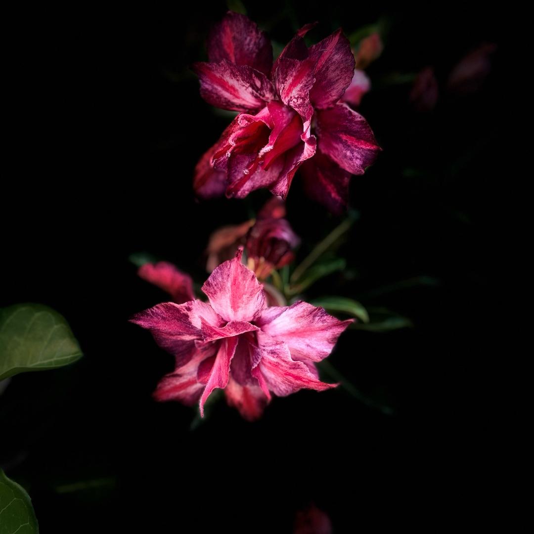 💕心心相印💕