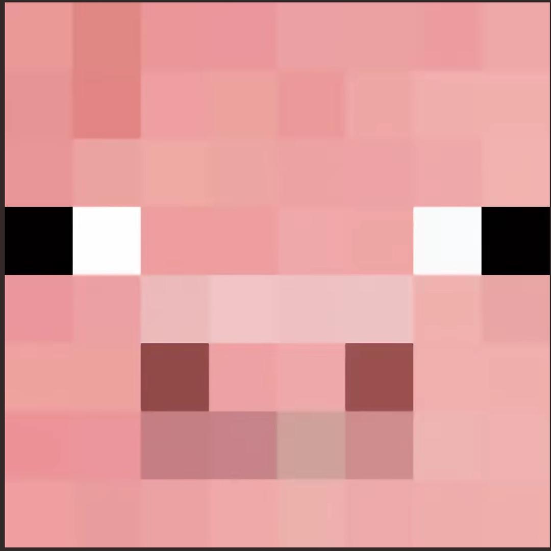尖叫猪🐷