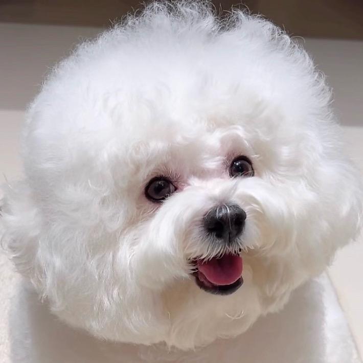 叫我年糕
