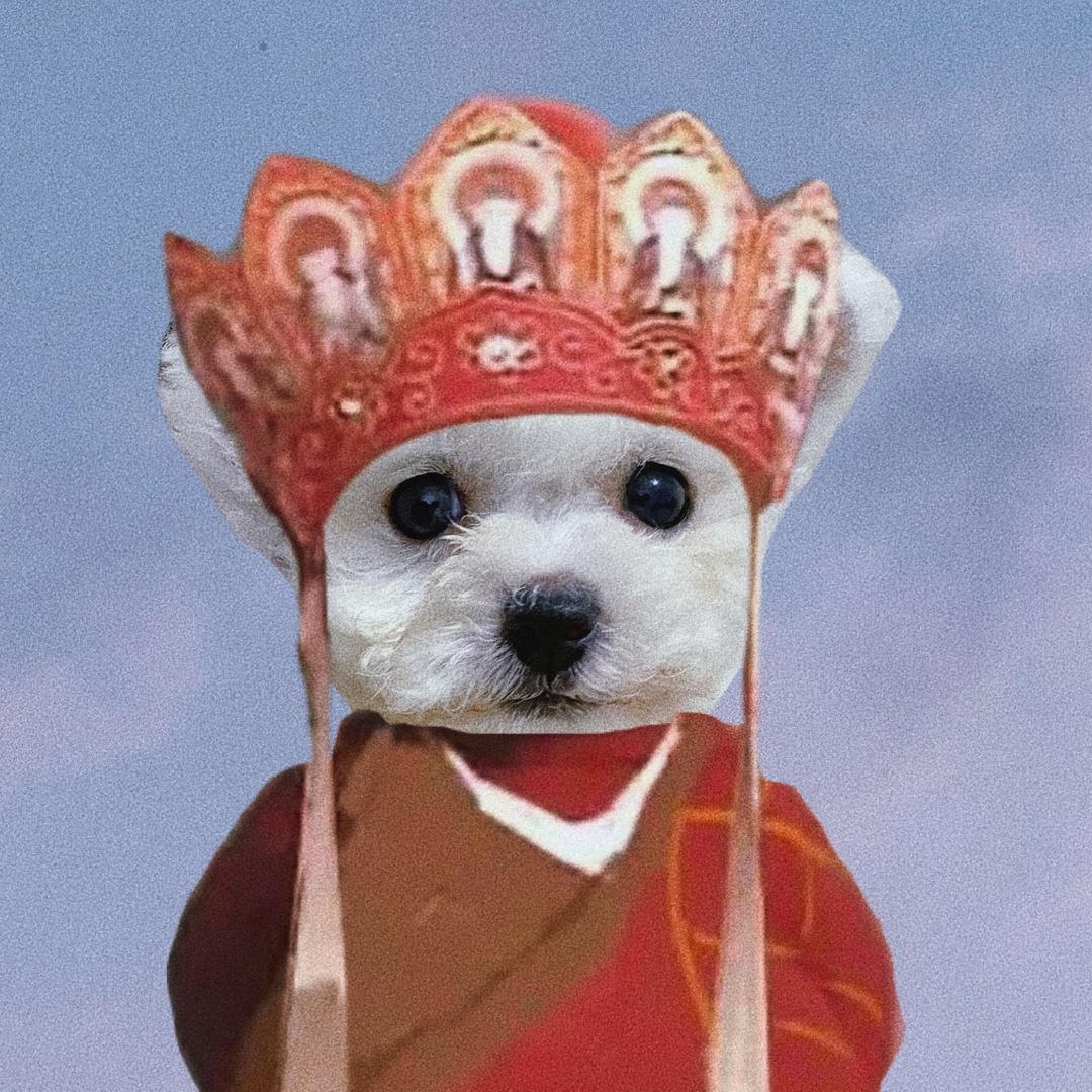 好运来的后花园🌻