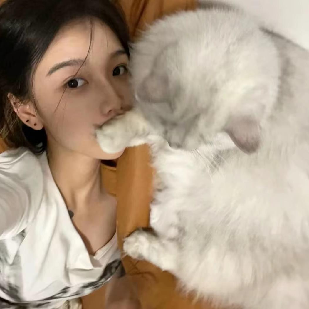 小 七