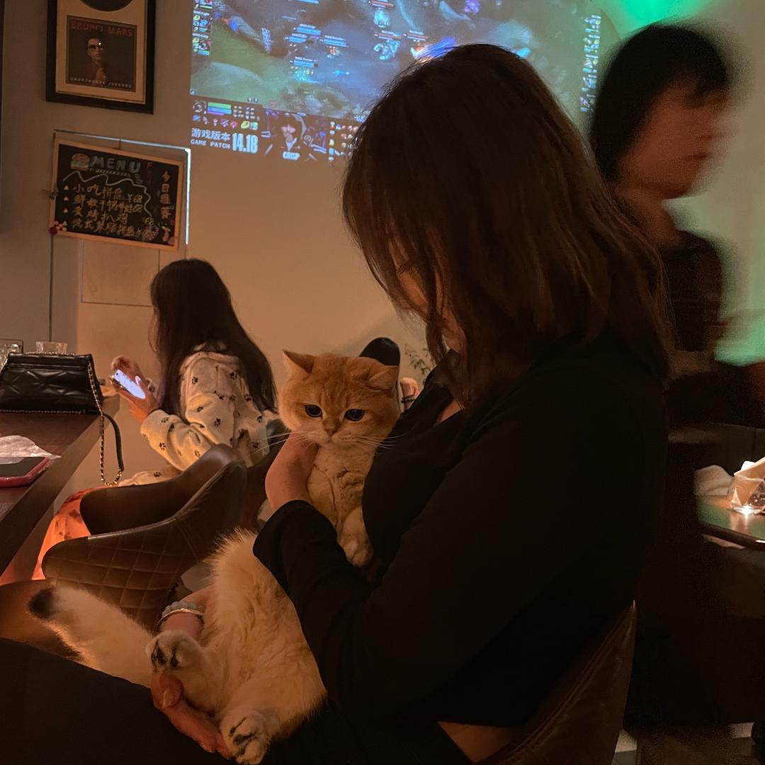 木木.