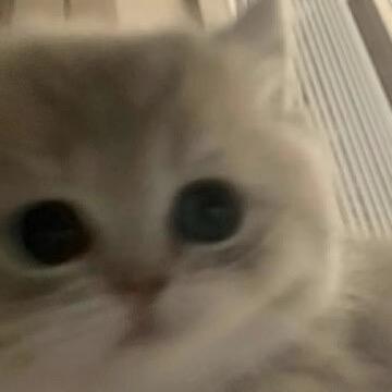 @H