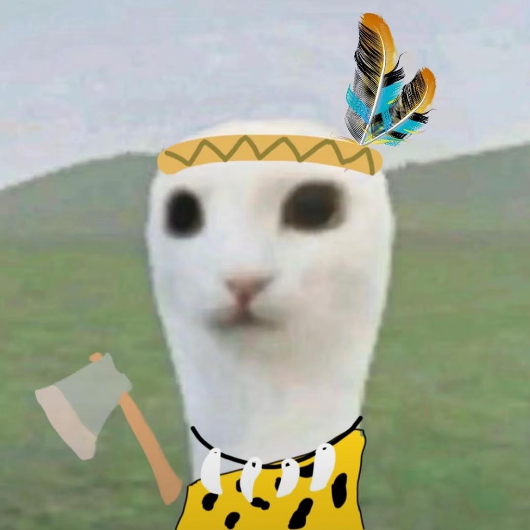 脸圆怎么了/^
