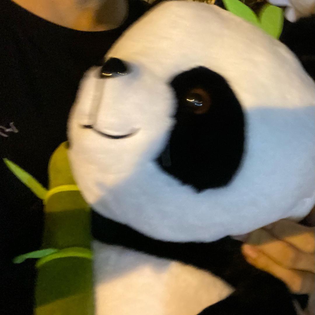 轻风