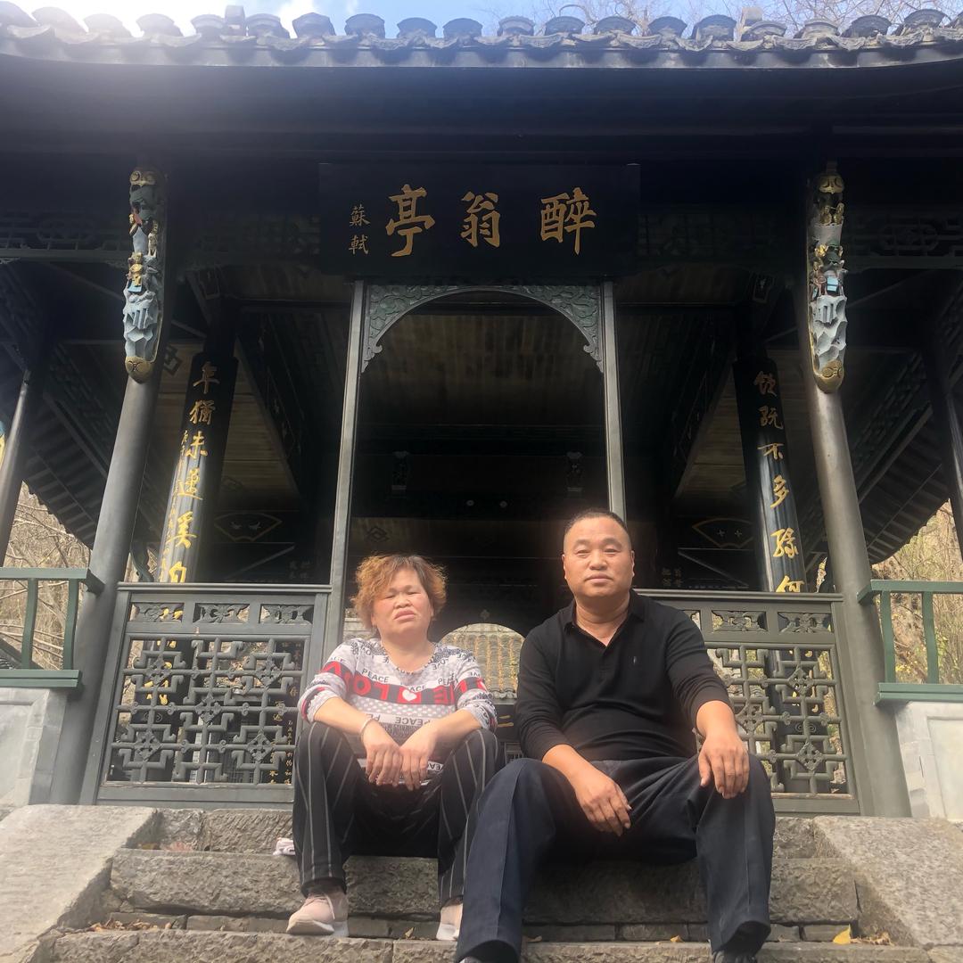 自由飞翔