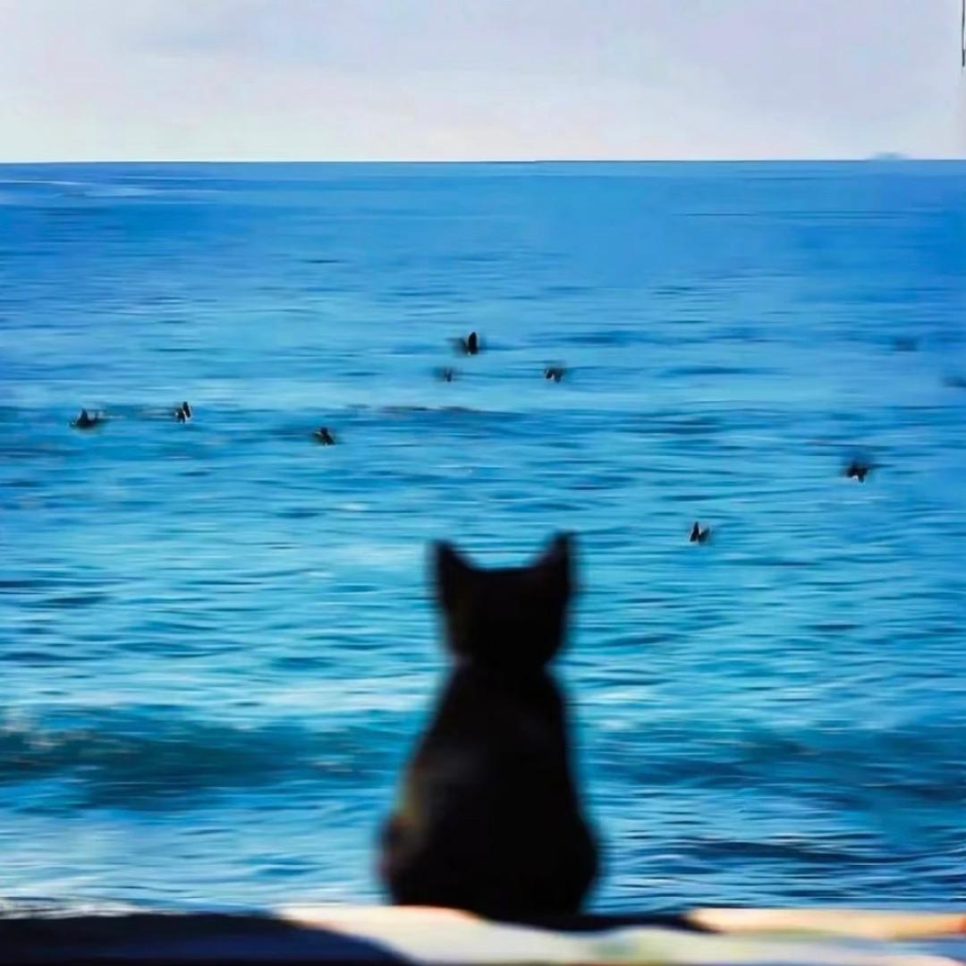 Hope.H