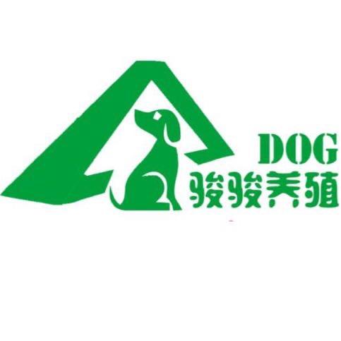 齐鲁动保