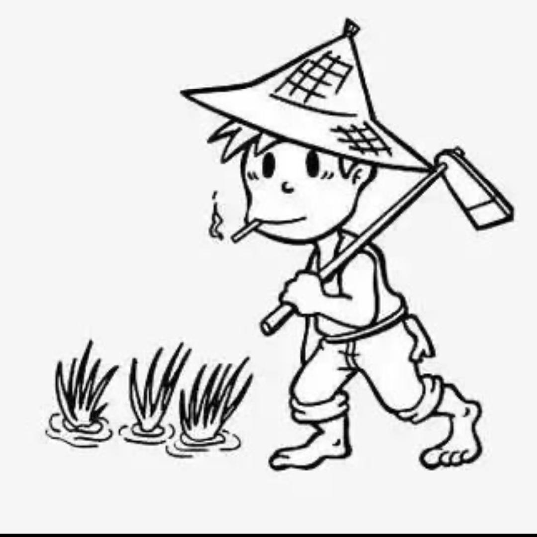 静谧清晨