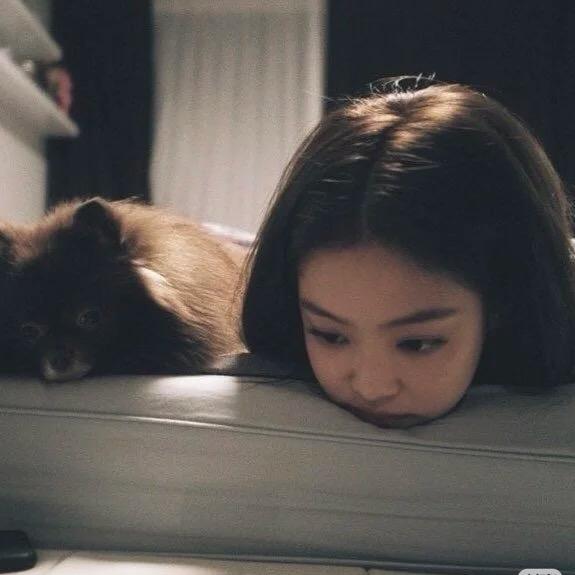 奇奇聊金牛